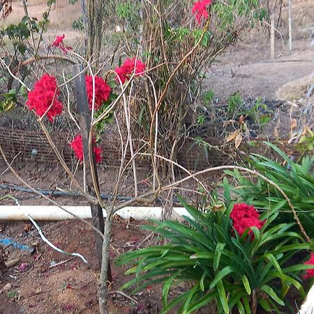 Pousada Recanto Alegre Campestre Dış mekan fotoğraf