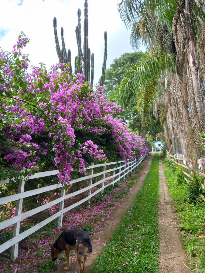 Pousada Recanto Alegre Campestre Dış mekan fotoğraf